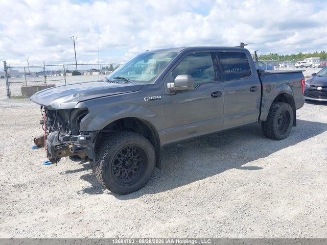 1FTEW1EF6GFD25170 Ford F-150 Xlt