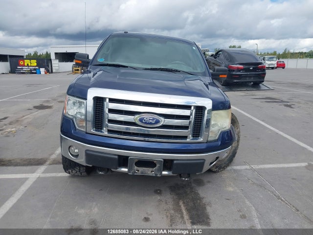 Продаж на аукціоні авто 2009 Ford F-150 Fx4/king Ranch/lariat/platinum/xlt, vin: 1FTPW14V29FB07795, номер лоту: 12685083