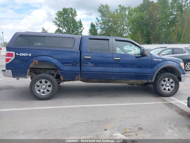 Продаж на аукціоні авто 2009 Ford F-150 Fx4/king Ranch/lariat/platinum/xlt, vin: 1FTPW14V29FB07795, номер лоту: 12685083