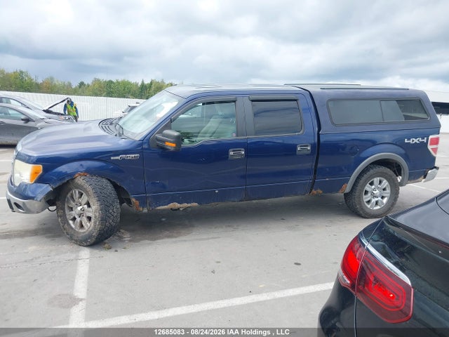 Продаж на аукціоні авто 2009 Ford F-150 Fx4/king Ranch/lariat/platinum/xlt, vin: 1FTPW14V29FB07795, номер лоту: 12685083