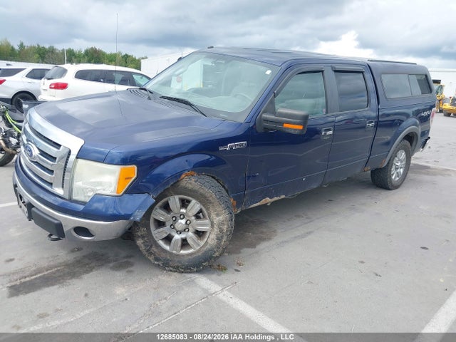 Продаж на аукціоні авто 2009 Ford F-150 Fx4/king Ranch/lariat/platinum/xlt, vin: 1FTPW14V29FB07795, номер лоту: 12685083