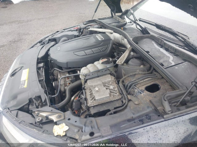 12685207 :رقم المزاد ، WAUBNAF40HN028581 vin ، 2017 Audi A4 2.0t Progressiv مزاد بيع