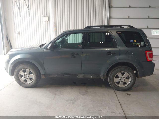 2011 Ford Escape Xlt Automatic მანქანა იყიდება აუქციონზე, vin: 1FMCU0DG1BKC55431, აუქციონის ნომერი: 12676902