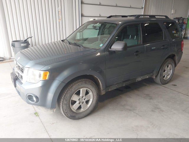 2011 Ford Escape Xlt Automatic მანქანა იყიდება აუქციონზე, vin: 1FMCU0DG1BKC55431, აუქციონის ნომერი: 12676902