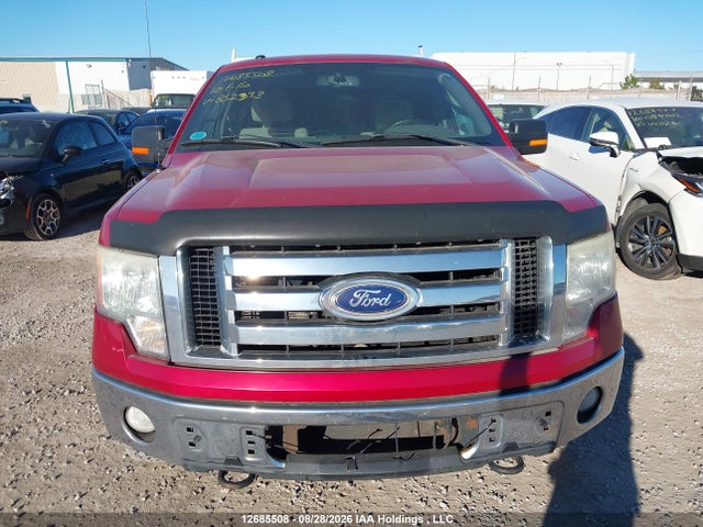 12685508 :رقم المزاد ، 1FTEX1E87AFB52393 vin ، 2010 Ford F-150 Stx/xl/xlt مزاد بيع