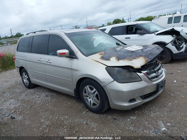 Продажа на аукционе авто 2007 Honda Odyssey Ex-l, vin: 5FNRL38657B503916, номер лота: 12685509