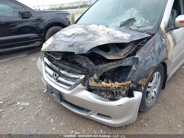 Продажа на аукционе авто 2007 Honda Odyssey Ex-l, vin: 5FNRL38657B503916, номер лота: 12685509