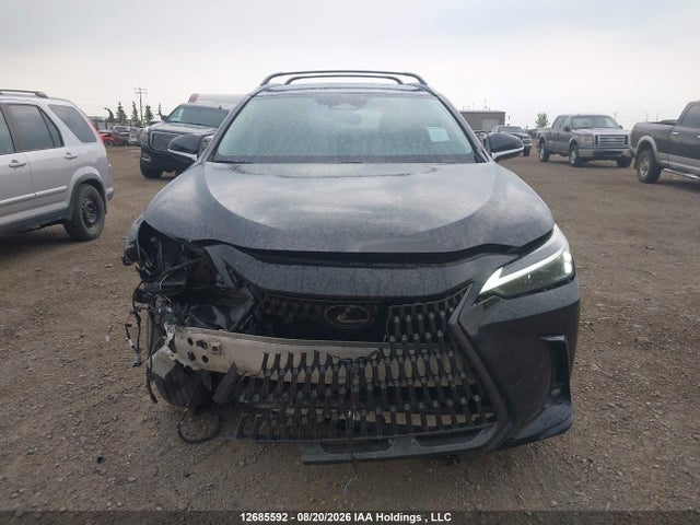 Lexus NX 250 2023 2T2ADCEZ7PC003653 Image 12