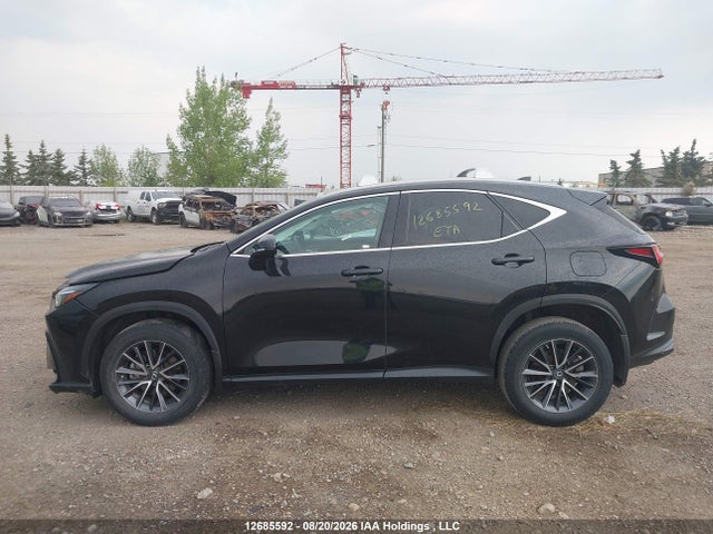 Lexus NX 250 2023 2T2ADCEZ7PC003653 Image 14