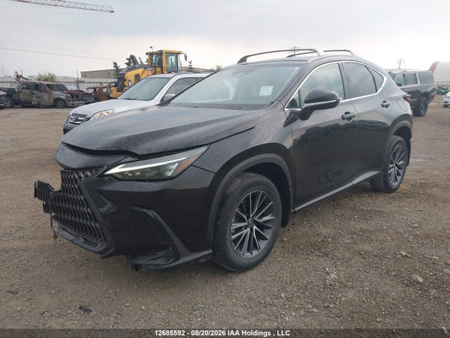 Lexus NX 250 2023 2T2ADCEZ7PC003653 Image 2