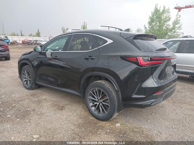 Lexus NX 250 2023 2T2ADCEZ7PC003653 Image 3