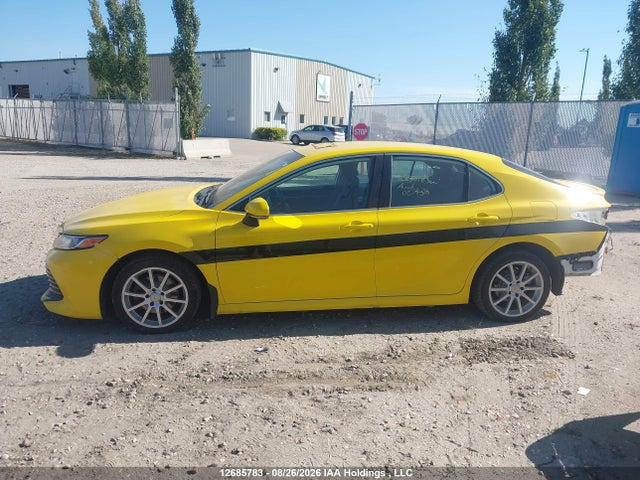 Auction sale of the 2019 Toyota Camry L/le/xle/se/xse, vin: 4T1B11HK3KU831632, lot number: 12685783