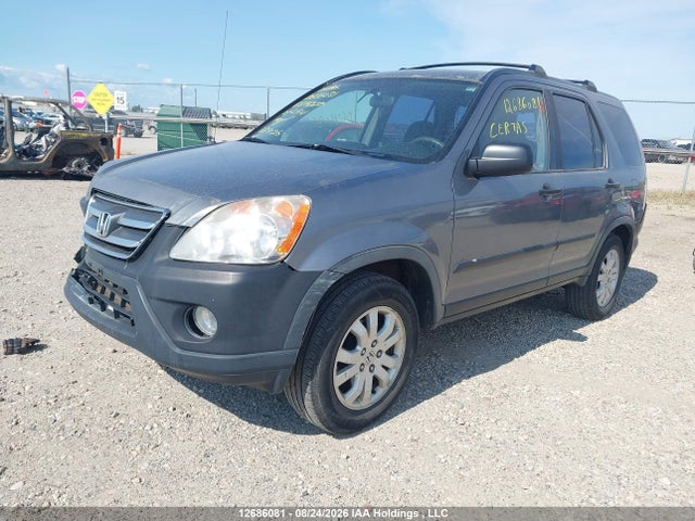 12686081 :رقم المزاد ، JHLRD78516C814222 vin ، 2006 Honda Cr-v Lx مزاد بيع