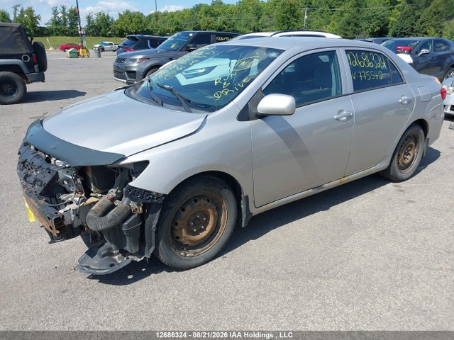 12686324 :رقم المزاد ، 2T1BU4EEXCC775540 vin ، 2012 Toyota Corolla مزاد بيع