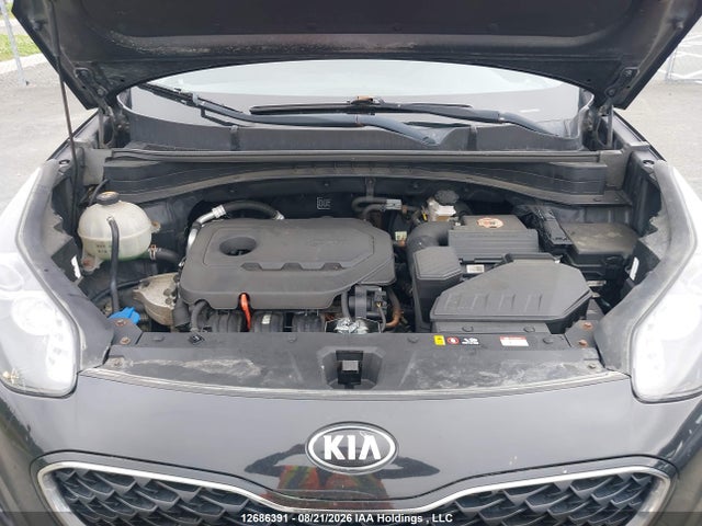2020 Kia Sportage Lx მანქანა იყიდება აუქციონზე, vin: KNDPMCAC4L7703058, აუქციონის ნომერი: 12686391