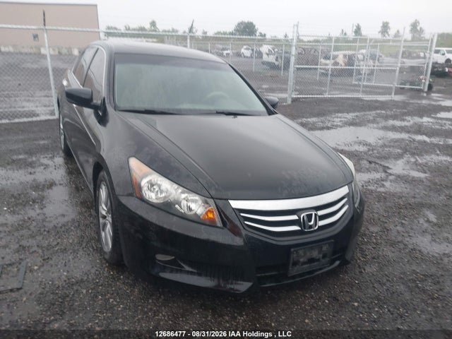 2011 Honda Accord Exl მანქანა იყიდება აუქციონზე, vin: 1HGCP3F81BA800697, აუქციონის ნომერი: 12686477