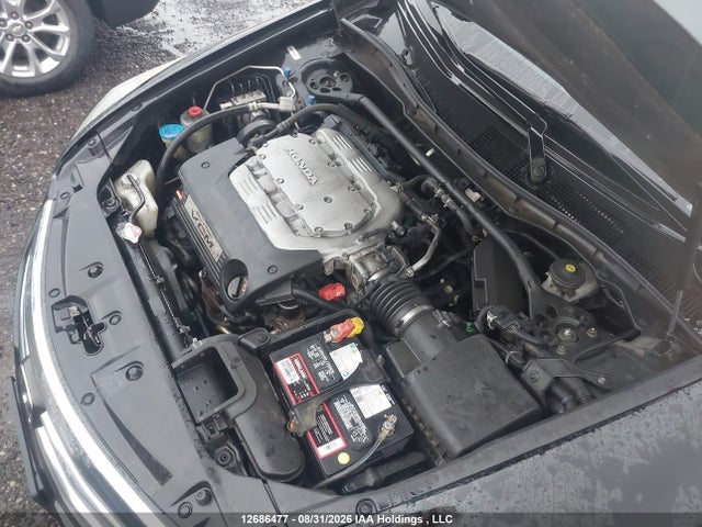 2011 Honda Accord Exl მანქანა იყიდება აუქციონზე, vin: 1HGCP3F81BA800697, აუქციონის ნომერი: 12686477