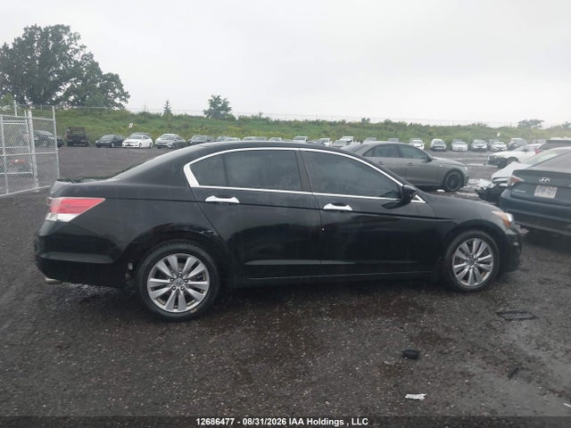 2011 Honda Accord Exl მანქანა იყიდება აუქციონზე, vin: 1HGCP3F81BA800697, აუქციონის ნომერი: 12686477
