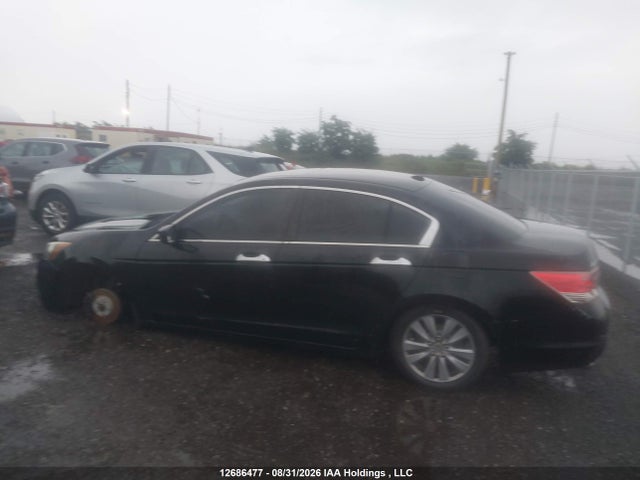 2011 Honda Accord Exl მანქანა იყიდება აუქციონზე, vin: 1HGCP3F81BA800697, აუქციონის ნომერი: 12686477