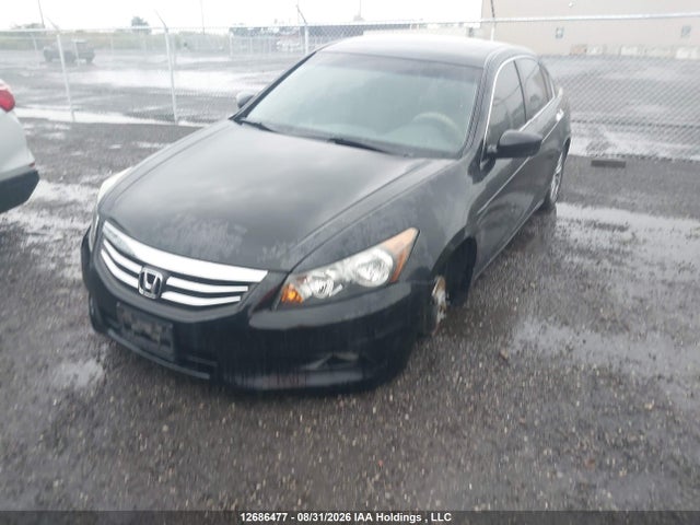 2011 Honda Accord Exl მანქანა იყიდება აუქციონზე, vin: 1HGCP3F81BA800697, აუქციონის ნომერი: 12686477