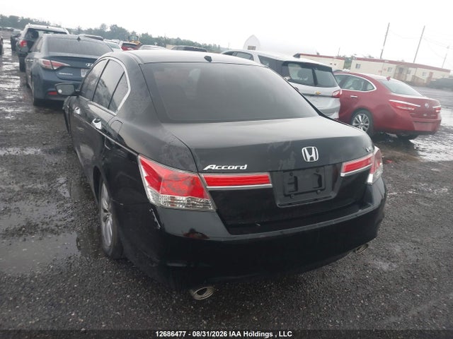 2011 Honda Accord Exl მანქანა იყიდება აუქციონზე, vin: 1HGCP3F81BA800697, აუქციონის ნომერი: 12686477