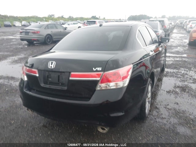 2011 Honda Accord Exl მანქანა იყიდება აუქციონზე, vin: 1HGCP3F81BA800697, აუქციონის ნომერი: 12686477