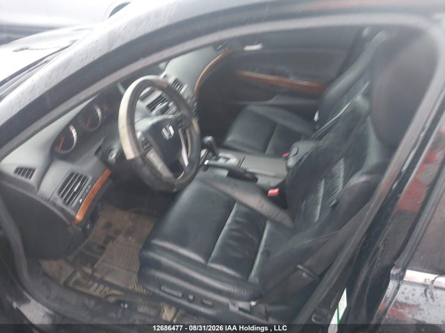2011 Honda Accord Exl მანქანა იყიდება აუქციონზე, vin: 1HGCP3F81BA800697, აუქციონის ნომერი: 12686477
