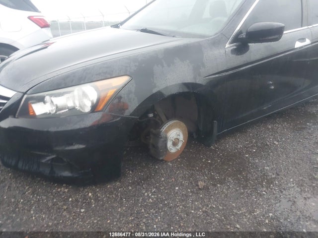 2011 Honda Accord Exl მანქანა იყიდება აუქციონზე, vin: 1HGCP3F81BA800697, აუქციონის ნომერი: 12686477