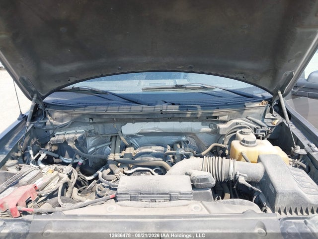 Продажа на аукционе авто 2013 Ford F-150 Fx4, vin: 1FTFW1EF2DKF88666, номер лота: 12686478