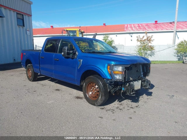 2023 Ford F150 Supercrew მანქანა იყიდება აუქციონზე, vin: 1FTFW1E87PKF64501, აუქციონის ნომერი: 12686501