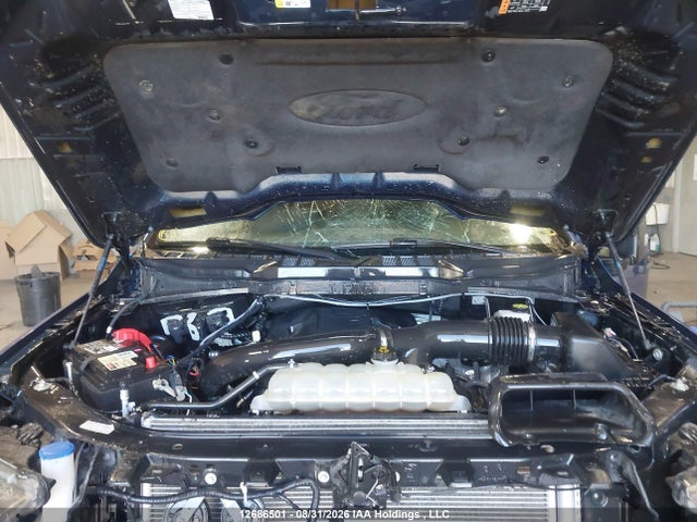 2023 Ford F150 Supercrew მანქანა იყიდება აუქციონზე, vin: 1FTFW1E87PKF64501, აუქციონის ნომერი: 12686501