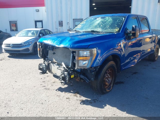 2023 Ford F150 Supercrew მანქანა იყიდება აუქციონზე, vin: 1FTFW1E87PKF64501, აუქციონის ნომერი: 12686501