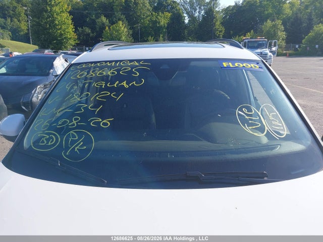 Volkswagen Tiguan Se/wolfsburg 2024 3VVMB7AX0RM180124 Image 17