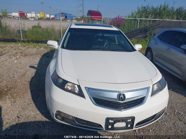 Продаж на аукціоні авто 2013 Acura Tl, vin: 19UUA8F23DA800685, номер лоту: 12677436