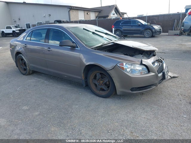 Auction sale of the 2011 Chevrolet Malibu, vin: 1G1ZB5EU6BF336111, lot number: 12686814