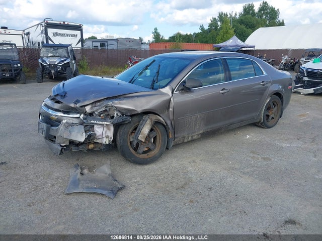 Aukcja sprzedaży 2011 Chevrolet Malibu, vin: 1G1ZB5EU6BF336111, numer aukcji: 12686814