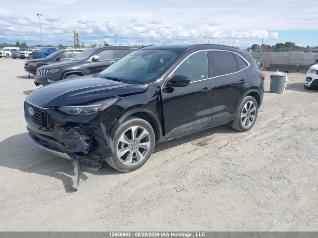 Продаж на аукціоні авто 2025 Ford Escape Platinum, vin: 1FMCU9JA8SUB05244, номер лоту: 12686952