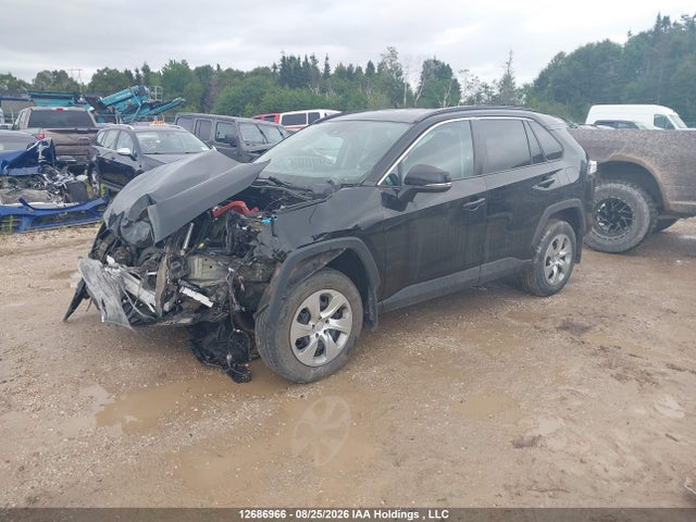 Продаж на аукціоні авто 2021 Toyota Rav4 Le, vin: 2T3B1RFV5MC235364, номер лоту: 12686966