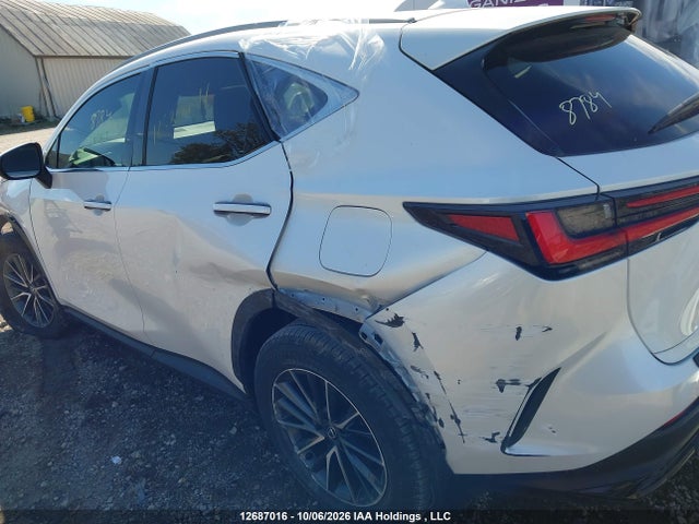 Lexus NX 350 2025 2T2GGCEZ2SC060756 Image 21