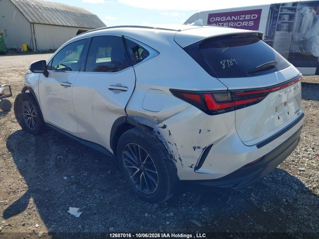 Lexus NX 350 2025 2T2GGCEZ2SC060756 Image 3