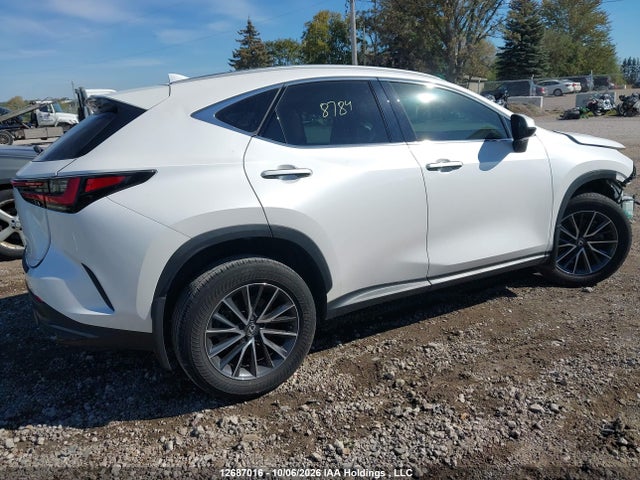 Lexus NX 350 2025 2T2GGCEZ2SC060756 Image 4