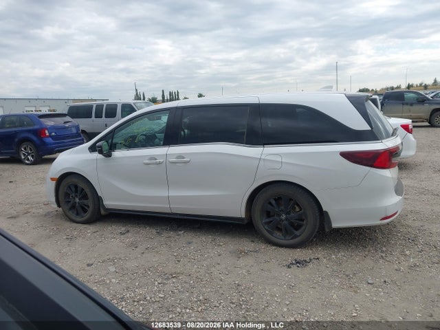 Продажа на аукционе авто 2023 Honda Odyssey Black Edition, vin: 5FNRL6H06PB503906, номер лота: 12683539