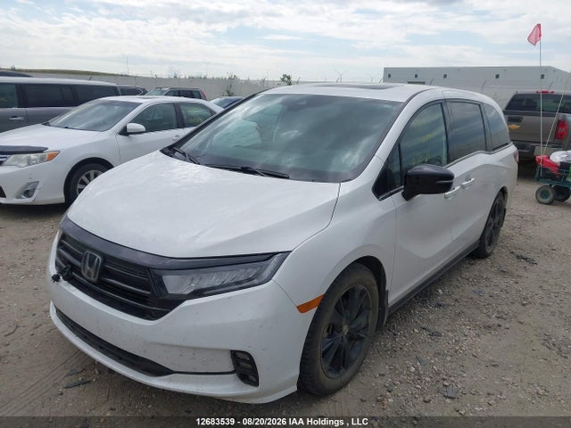 Продажа на аукционе авто 2023 Honda Odyssey Black Edition, vin: 5FNRL6H06PB503906, номер лота: 12683539