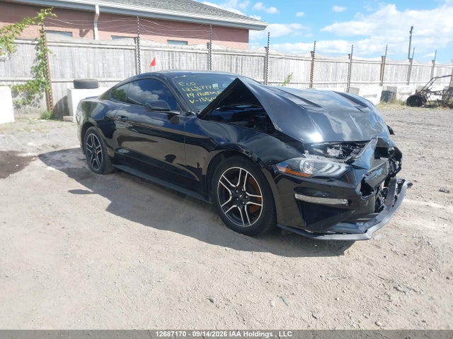 Продаж на аукціоні авто 2019 Ford Mustang Ecoboost, vin: 1FA6P8TH2K5155148, номер лоту: 12687170