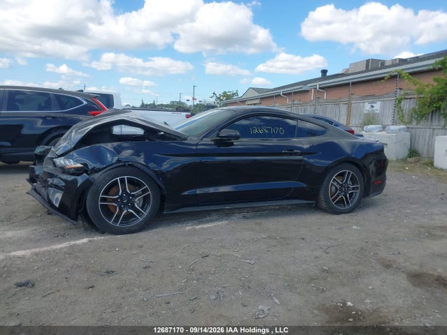 Продаж на аукціоні авто 2019 Ford Mustang Ecoboost, vin: 1FA6P8TH2K5155148, номер лоту: 12687170