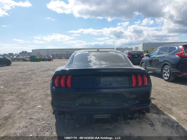 Продаж на аукціоні авто 2019 Ford Mustang Ecoboost, vin: 1FA6P8TH2K5155148, номер лоту: 12687170