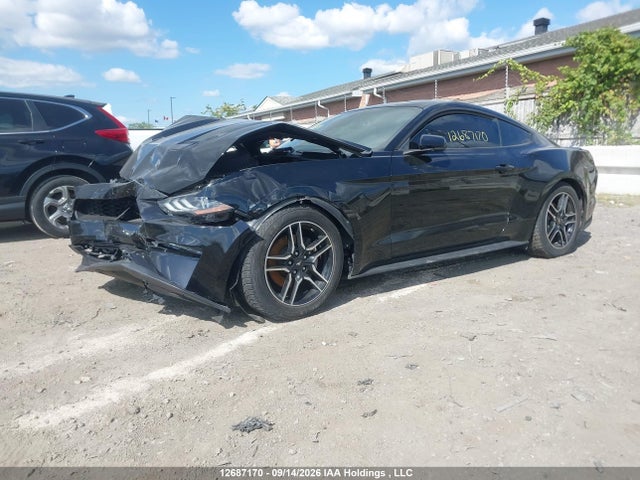 Продаж на аукціоні авто 2019 Ford Mustang Ecoboost, vin: 1FA6P8TH2K5155148, номер лоту: 12687170