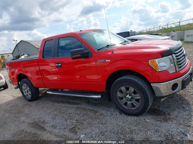 Продаж на аукціоні авто 2011 Ford F-150, vin: 1FTFX1EF1BFB65046, номер лоту: 12687205