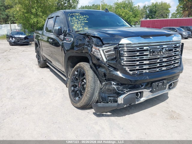 Продаж на аукціоні авто 2023 Gmc Sierra K1500 Denali, vin: 3GTUUGEL3PG130457, номер лоту: 12687323