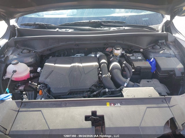 Aukcja sprzedaży 2025 Kia Sorento 2.5t Ex/2.5t X-line, vin: 5XYRHDJF9SG365784, numer aukcji: 12687350